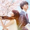 映画感想「四月は君の嘘」「青空エール」