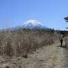 富士山方面で スミレ散策　　　　　2023.04.10