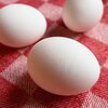 離乳食の卵（卵黄・卵白）の進め方について