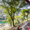 【京都旅行2日目⛩️】トロッコ列車🚞車窓からの見える絶景を満喫！竹林の道 天龍寺 渡月橋🐉