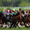 競馬でカツ