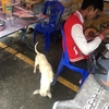 世界でいちばん贅沢な旅
