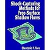 【数値流体力学】"Shock-Capturing Methods for Free-Surface Shallow Flows"を読んでまとめます！