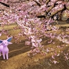 河津桜の美しさにふと足を止めるエーフィ【ポケモンGOAR写真】