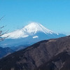 大山の富士見台