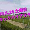 2020,6,20 土曜日 トラックバイアス予想 (東京競馬場、阪神競馬場、函館競馬場)