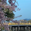 月と桜と金色の橋🌸🌙✨