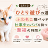 5月1日　ひとり遊びの達人　ふわもこ猫ベッドで仕事中のパパを待つ至福の時間