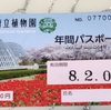 【京都府立植物園】ミモザの開花状況と入園料値上がり情報