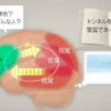 テレビを見すぎるとバカになる