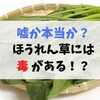 ほうれん草には毒がある！？嘘か本当か？