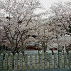 鹿島神社