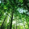 事故から学ぶチームの協力と予防