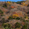 奈良県の紅葉スポット、秘境みたらい渓谷へ。紅葉のみたらい渓谷って写真愛好家の評価が高く有名になったんだって。