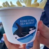 神戸須磨シーワールド行ってきたー！！