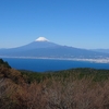 旅ともと2泊3日で訪れた伊豆の観光スポット