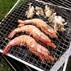 アウトドアでのBBQパーティーを満喫