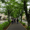 勝俣部長の「ため息」３２５８回････迫力無いな