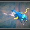 図鑑説明と共に【Newポケモンスナップ プレイ日記64】水中の戦い