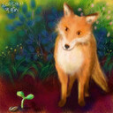 Lattice in the Lettuce