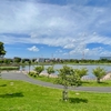 上総更級公園の修景池・じゃぶじゃぶ池（千葉県市原）
