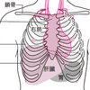 整体的、心臓病の原因。