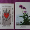 ソードの3のカード【The Herbcrafter's Tarotとライダーウェイト版を比べてみた】