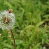 正しい香水の付け方を知った日