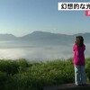 大観峰から雲海 幻想的な光景広がる【熊本】    
