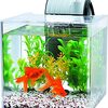 おうちで小さな水族館！テトラ 静かな金魚飼育セットSF-17GFで癒しの時間を始めませんか？