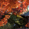 【福島の紅葉スポット】文知摺観音普門院に今年も行ってきました