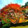 京都ぶらり　本日の一枚　南禅寺