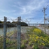 鍵池（福岡県田川）