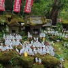 鎌倉にある『佐助稲荷神社』で一生分のキツネみた