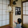 猫くれ！ネコ～！！