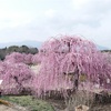 鈴鹿の森庭園