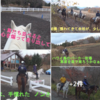 富士山麓鳴沢村で乗馬体験 西湖いやしの里　根場の蕎麦 ホーストレッキング＆プチツーリング　 ③　 ^^!