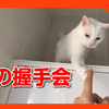 猫の握手会の会場はこちらです