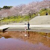 桜・藤山公園