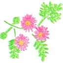 花鳥風月