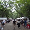 下鴨神社の納涼古本祭（2年ぶり）