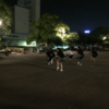 阿波踊り