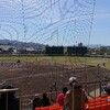 彦根球場で高校野球観戦