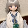 自分のドールに対する考え