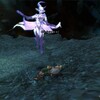 ＦＦ１１日記：セーダルゴジャル、厄介な場所にいる割に背負ってるドラマがひどい