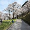 神奈川桜ショートツーリング