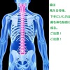 歯は見える骨格「安易に歯をいじらない」