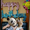 Happy Birthday！7歳になりました。