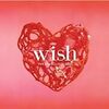 　手に入れました『wish』