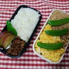 息子弁当　2/15